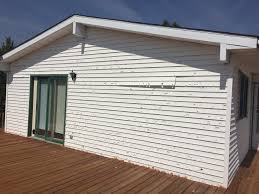 Best Custom Trim and Detailing for Siding  in Despard, WV